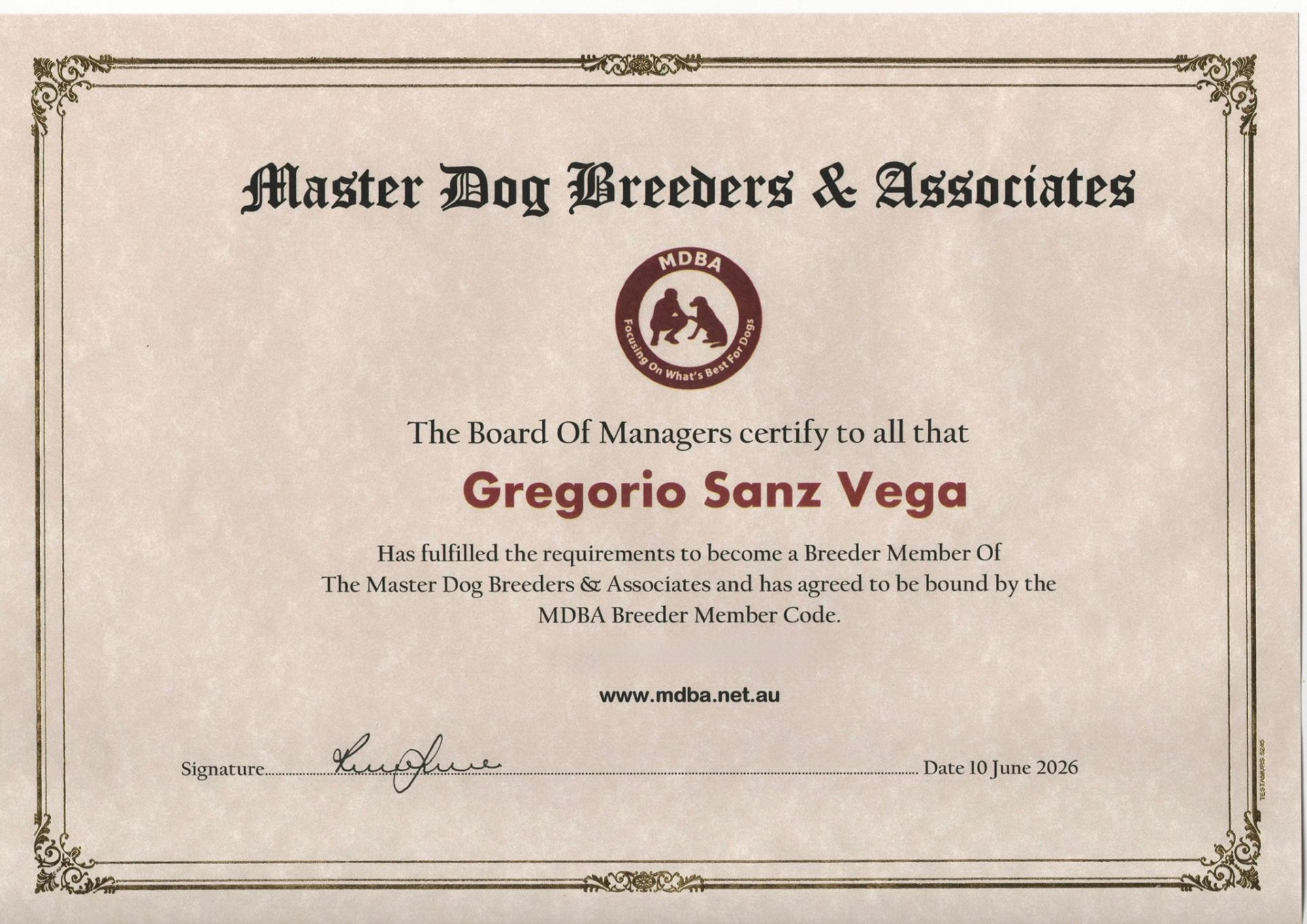 Certificado registrado MDBA Australian Cobberdog